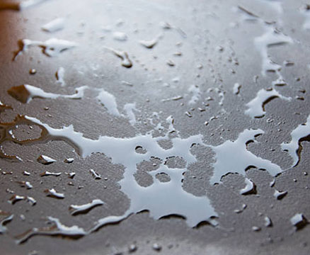 excess moisture